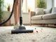 teppich-reinigen-gegen-milben-tipps-fuer-eine-milbenfreie-wohnung